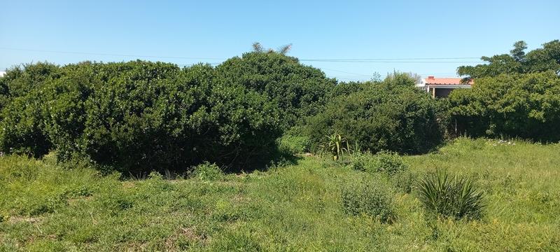 0 Bedroom Property for Sale in Reebok Western Cape